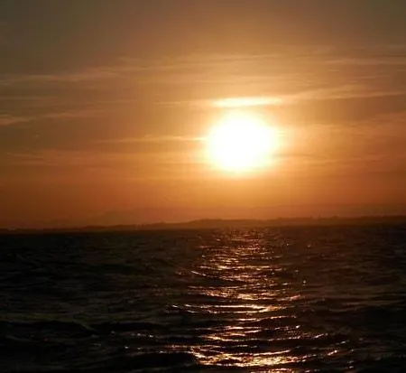 Appartement Cosy Rez De Jardin Climatisation Parking Wifi *