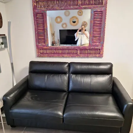 Appartement Studio Cosy Rez De Jardin Climatisation Parking Wifi *